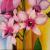 Blumen von