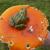 Froschpilz von