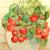 Tomaten von FöldyArt