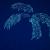 blue Phoenix - Key one von SK