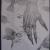 Fairy Tale von