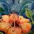 Hibiskusblüte von Mea Meike Dörschuck
