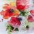 Mohn von
