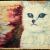 Katze an der Küste... von Pamela Ritter