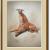Hundeportrait von V. Sinitsa