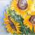 Sonnenblumen von Hazethoermann