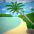 Palmen, Strand und Meer von