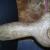 100_1077.JPG von