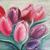 Tulpen von S.Ril