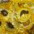 Sonnenblumen von