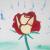 Rose von