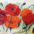 Bunter Mohn im Kornfeld von