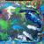 Bild Nr. 14 von werner-acryl