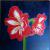 Bild Nr. 19 von werner-acryl