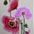 Bild Nr. 23 von werner-acryl