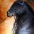 Black von ART Wolfgang Rauchwarter