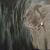 Der Elefant von