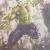 HULK von Emma Wildfang