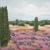 Heide 2003 von
