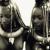 Contradictions - Watching The Whites von