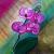 Orchidee von
