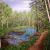 Bach im Wald von