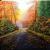 Strasse im Herbst von
