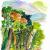Weingut in der Toscana von IPA-ART