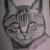 Katze von