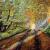 Herbstlicht von