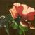 Mohnblume von SZ2015