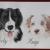 Rocky und Amigo von Peps' Kreativer Winkel