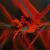 Shades of passion von MP