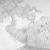 Jungle tree von