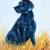 Black Labrador von S.Ril