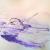 Lilac Beauty von