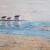 Strand von