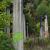 Tiergraffiti von Kradeck