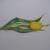 Tulpe von