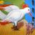 Der Feuervogel von José García y Más