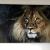 Sir Lion Stone von SAZ