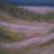DSCN0657.JPG von