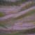 DSCN0658.JPG von