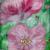 Blüten von Petra Hayn-Knapp