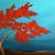 Baum der Liebe von MP