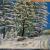 Winterwald von