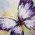Lilac butterfly von S.Ril