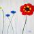 Wiesenblumen von