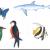 Kids Illustration von