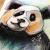 Panda von B.S.